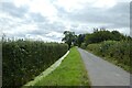 SE6434 : Ditch along Moor Lane by DS Pugh