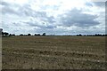 Farmland south of Moor Lane