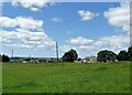 View of Maiden Law from Edge Lane