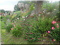 Bank of flowers along Pizien Well Road