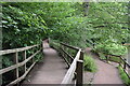 Boardwalk and lakeside path at Lymm Dam