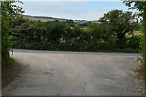 TV5199 : Exit from Seven Sisters Country Park Car Park by N Chadwick