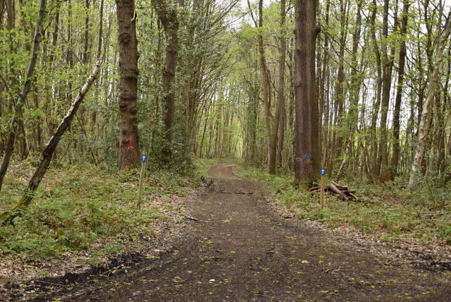 Bridleway, Mereworth Woods © N Chadwick :: Geograph Britain and Ireland