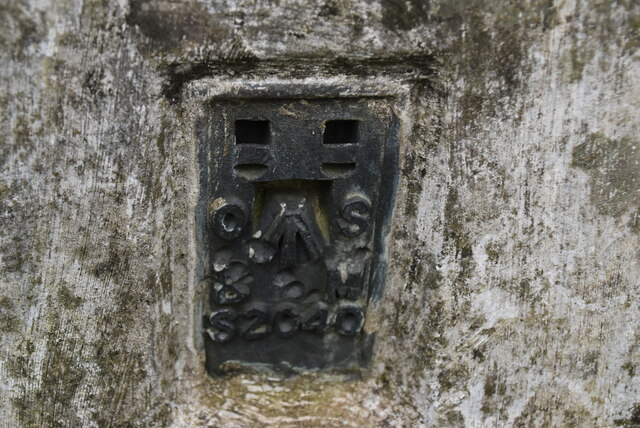 Benchmark on Trig Pillar, Hurst Wood