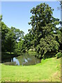 Ugbrooke House - Pond