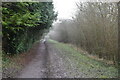 Footpath past Oxenhill Shaw