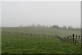 Misty fields near Kemsing