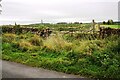 Field gateway on west side of road into forestry at Ladyrigg Farm