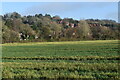 Farmland near Sevenoaks Rd