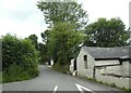 Road to Kelly Bray from Downgate