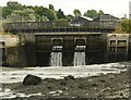 NS9981 : Sluices, Bo'ness Dock by Richard Sutcliffe