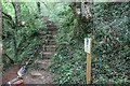 SO3121 : Steps into Strawberry Cottage Wood LNR by M J Roscoe