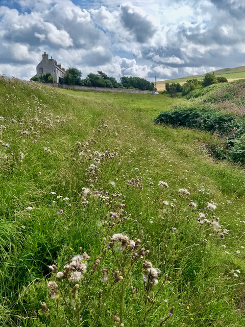 Meikle Poo Craig, Scottish Borders - area information, map, walks and more