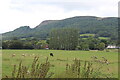 View towards Skirrid Fawr