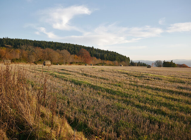 Harvested fields, by Wood Hill