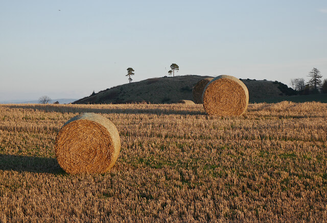Harvested fields, by Castleton
