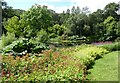 A glimpse of the lake, at RHS Rosemoor