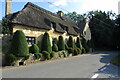 Thatch and topiary