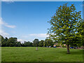 Trig point on Burnham Green