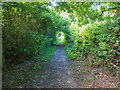 Footpath towards Digswell