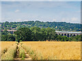 Footpath towards Digswell