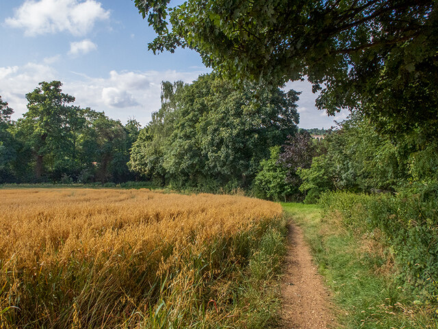 Path around the edge of a field