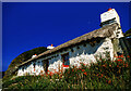 SC2177 : Summer view at Niarbyl by Andy Stephenson