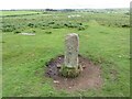 SX1175 : Estate Boundary Marker on Kerrow Downs in Blisland parish by P G Moore