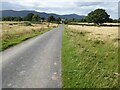 Road on Castlemorton Common