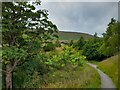 A Glimpse of Pendle Hill