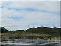 NM7109 : Seals on Eilean nan Ceann by M J Richardson