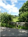 Bridge over Wadley Brook, Moretonhampstead