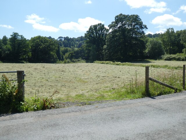Field in the valley at Lustleigh