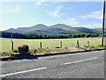 Good quality grazing land on the south side of the B180 at Bryansford