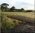 NS3730 : Cropped field at Low Wexford by Alan Reid