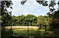 Walled garden of Fairlie House