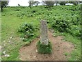 SX1173 : Estate Boundary Marker on Kerrow Downs in Blisland parish by P G Moore