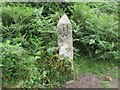 SX1174 : Estate Boundary Marker on Kerrow Downs in Blisland parish by P G Moore