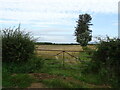 Field entrance off Gotherington Fields 