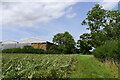 Field of beans and a hay barn by the Irnham-Ingoldsby road