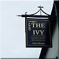 TF1377 : The sign of The Ivy by David Lally