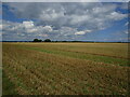 TL2467 : Stubble field and Debden Top Farm by Jonathan Thacker