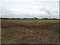 Field near Hawbridge