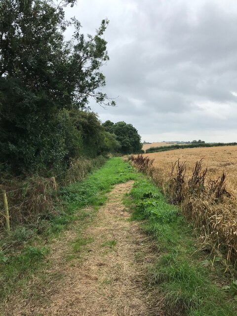 Field edge path © Dave Thompson cc-by-sa/2.0 :: Geograph Britain and ...