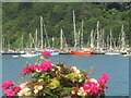 SX8851 : Dartmouth Harbour by Colin Smith