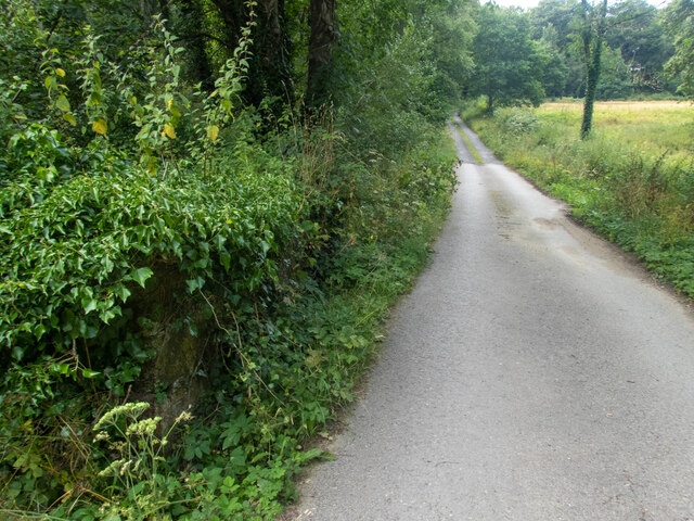 A lane into the estate