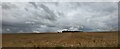 Fields below The Penning Copse from the B390