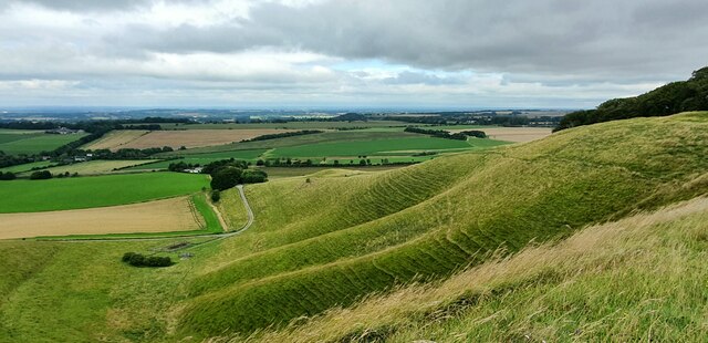 Cherhill Down, Wiltshire © Rebecca A Wills :: Geograph Britain and Ireland