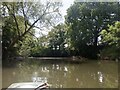 Leys Bend, River Teme