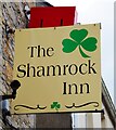 G8777 : The Shamrock Inn (2) - sign, Main Street, Mountcharles, Co. Donegal by P L Chadwick